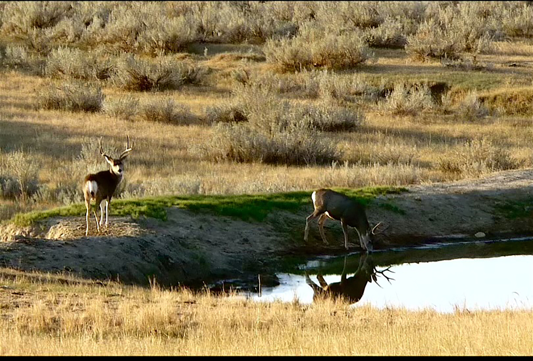 R & R Land Company property picture 10 of 69