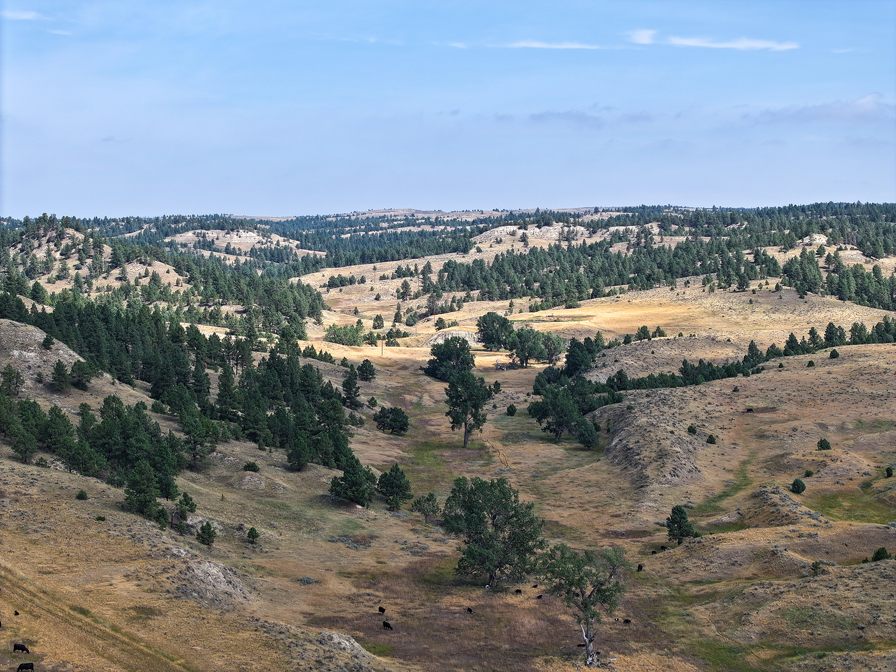 R & R Land Company property picture 5 of 69