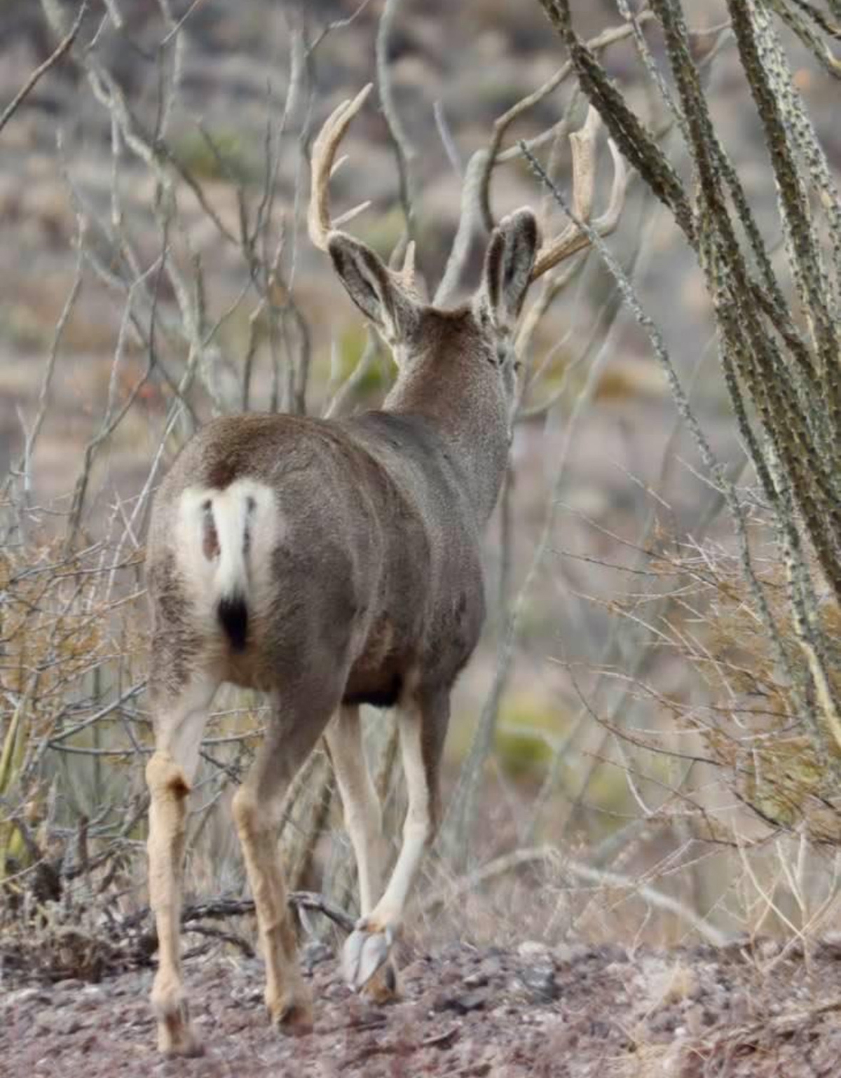 R & R Land Company property picture 15 of 69