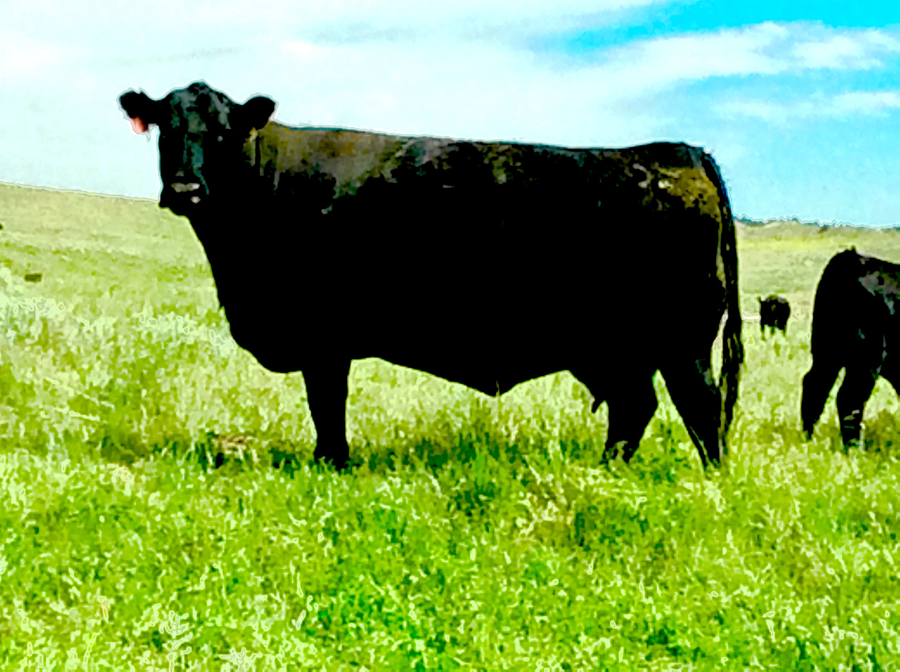 R & R Land Company property picture 42 of 69