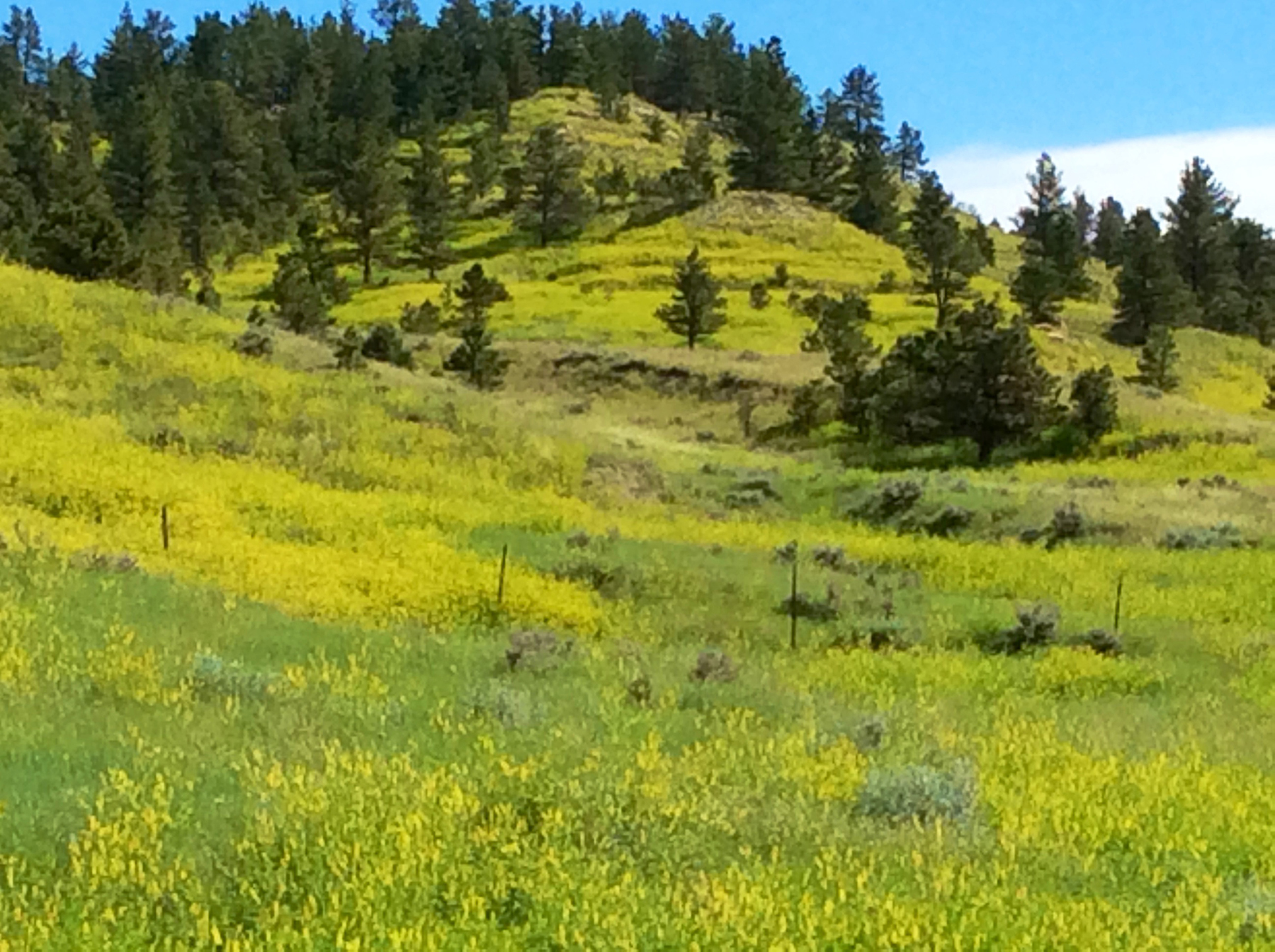 R & R Land Company property picture 6 of 69