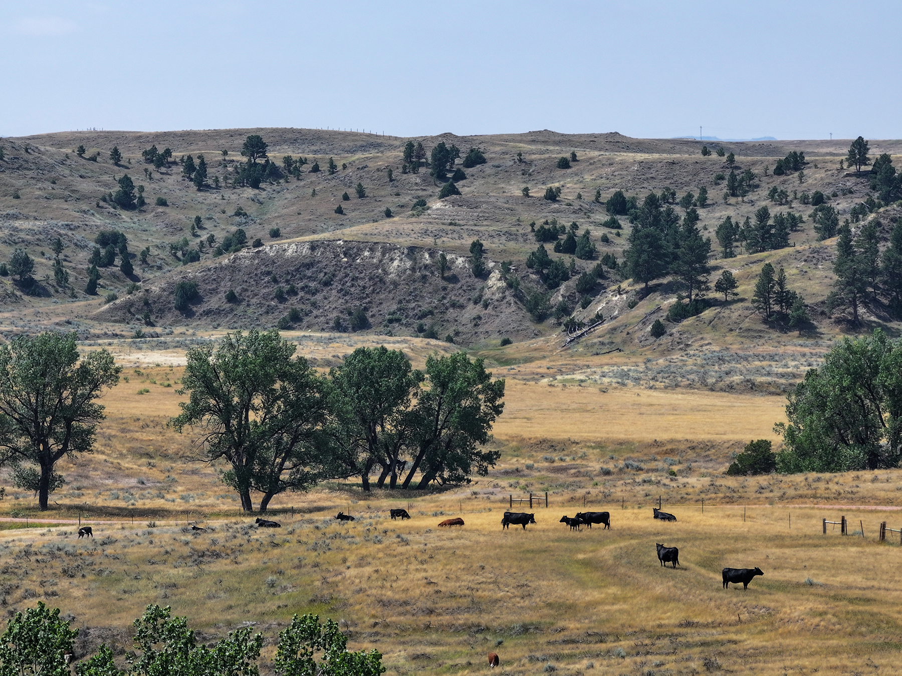 R & R Land Company property picture 12 of 69