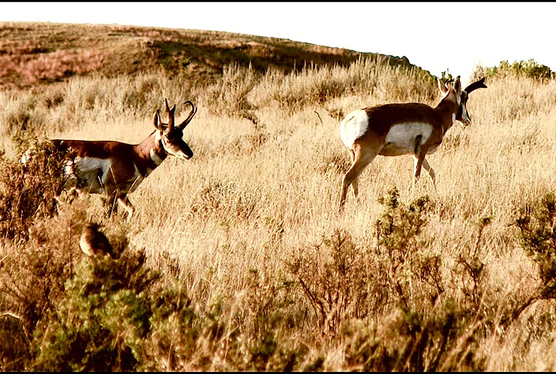 R & R Land Company property picture 33 of 69