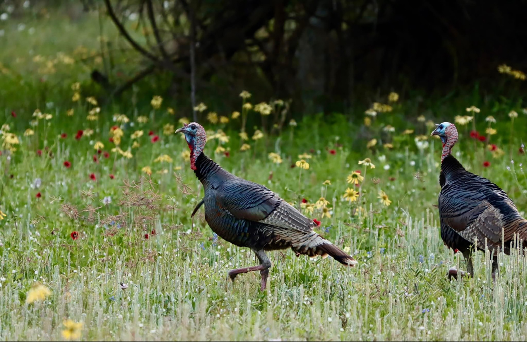 R & R Land Company property picture 25 of 69