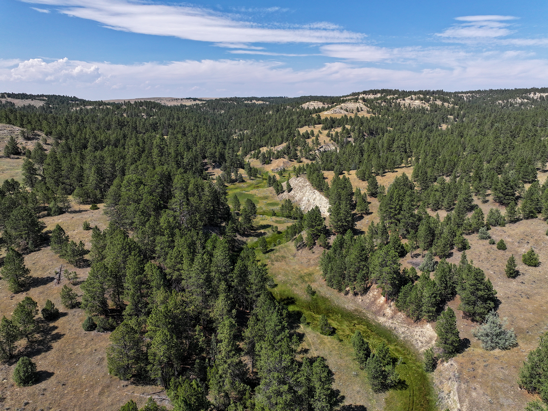 R & R Land Company property picture 37 of 69