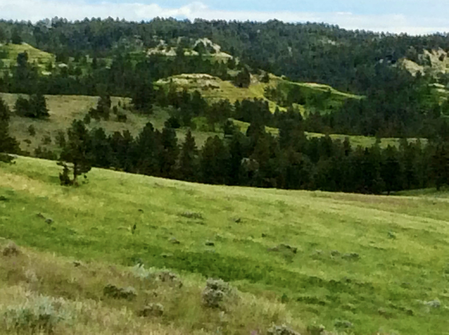 R & R Land Company property picture 53 of 69