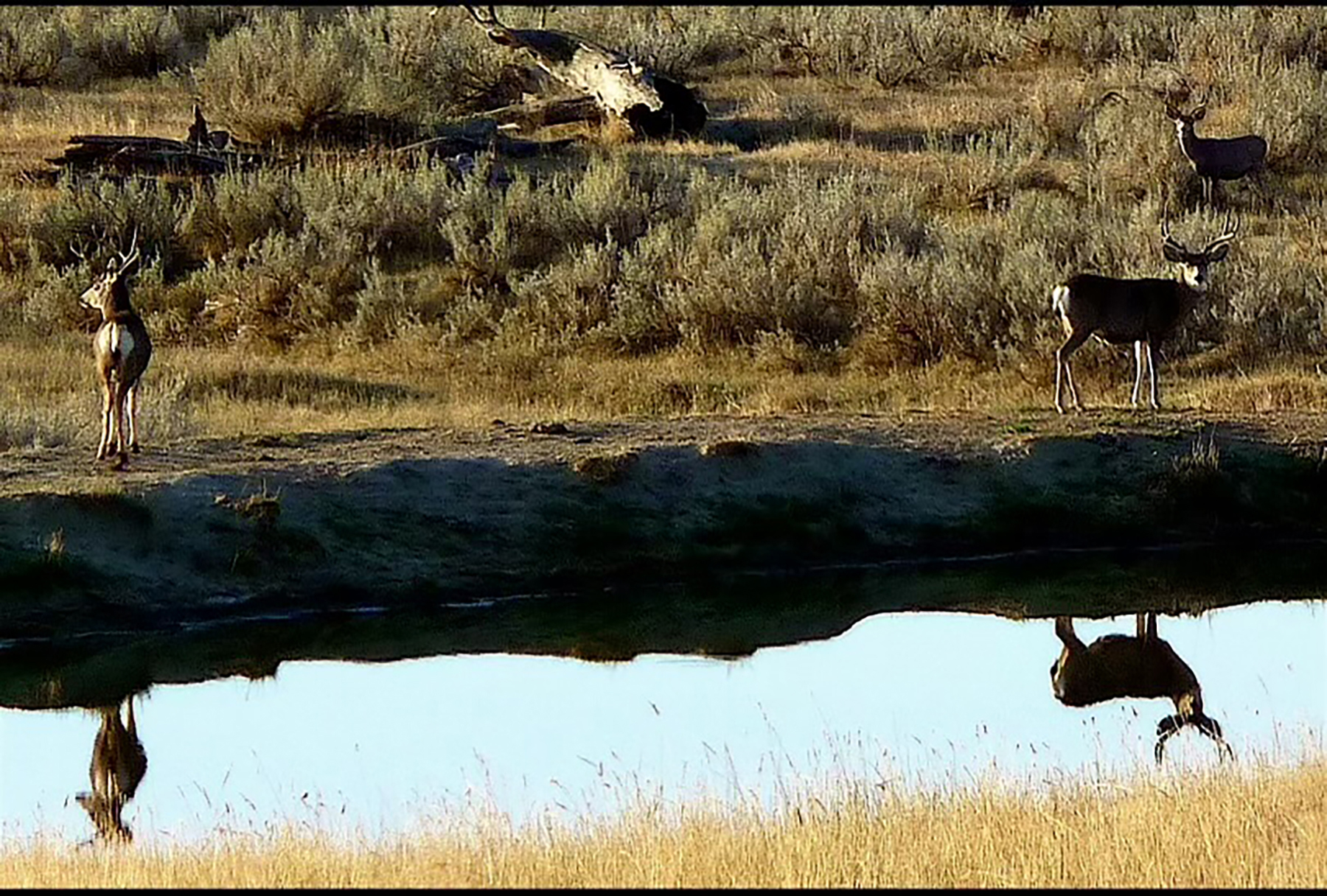 R & R Land Company property picture 30 of 69