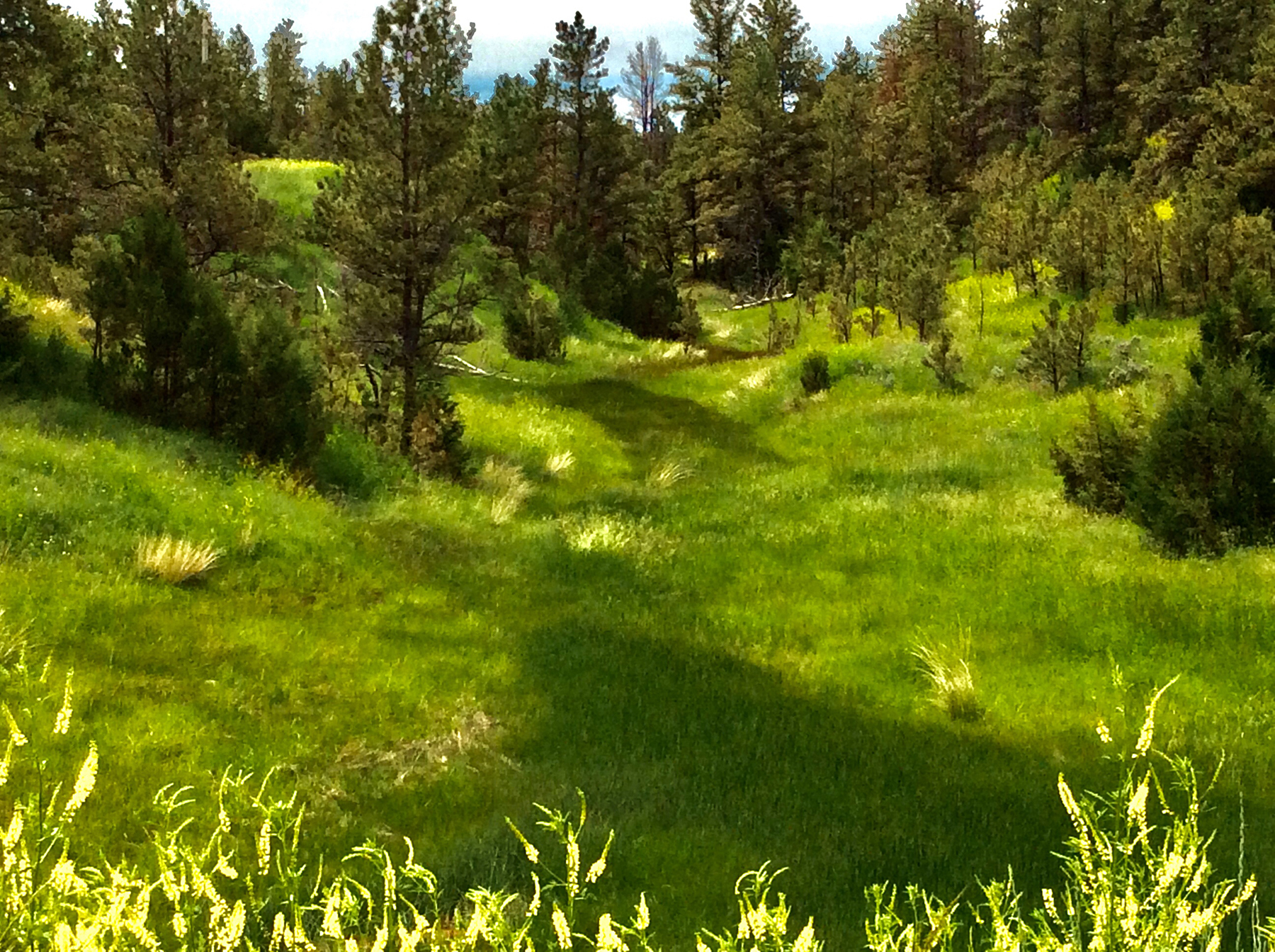 R & R Land Company property picture 22 of 69