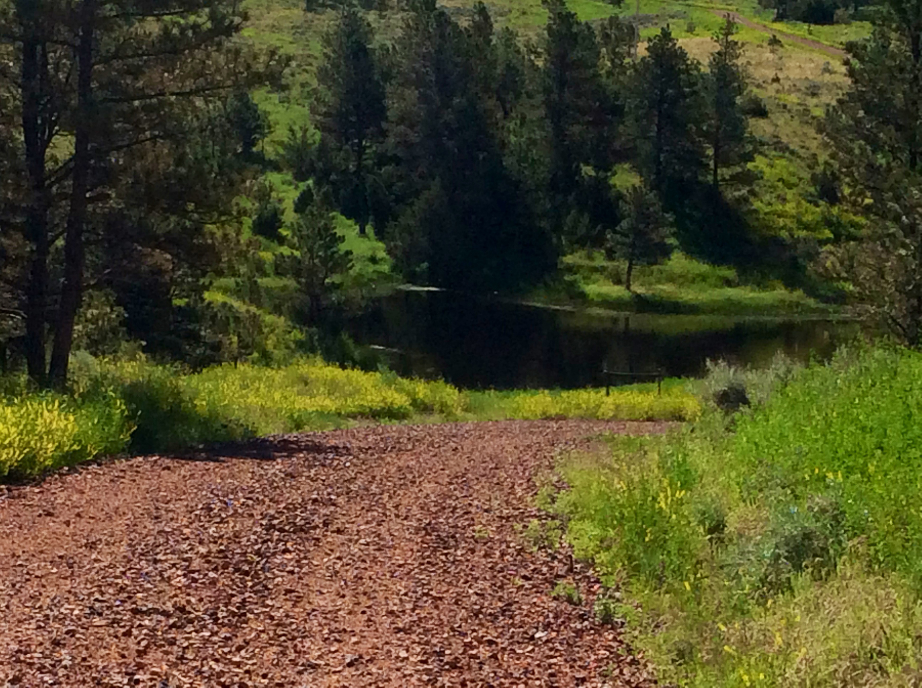 R & R Land Company property picture 44 of 69