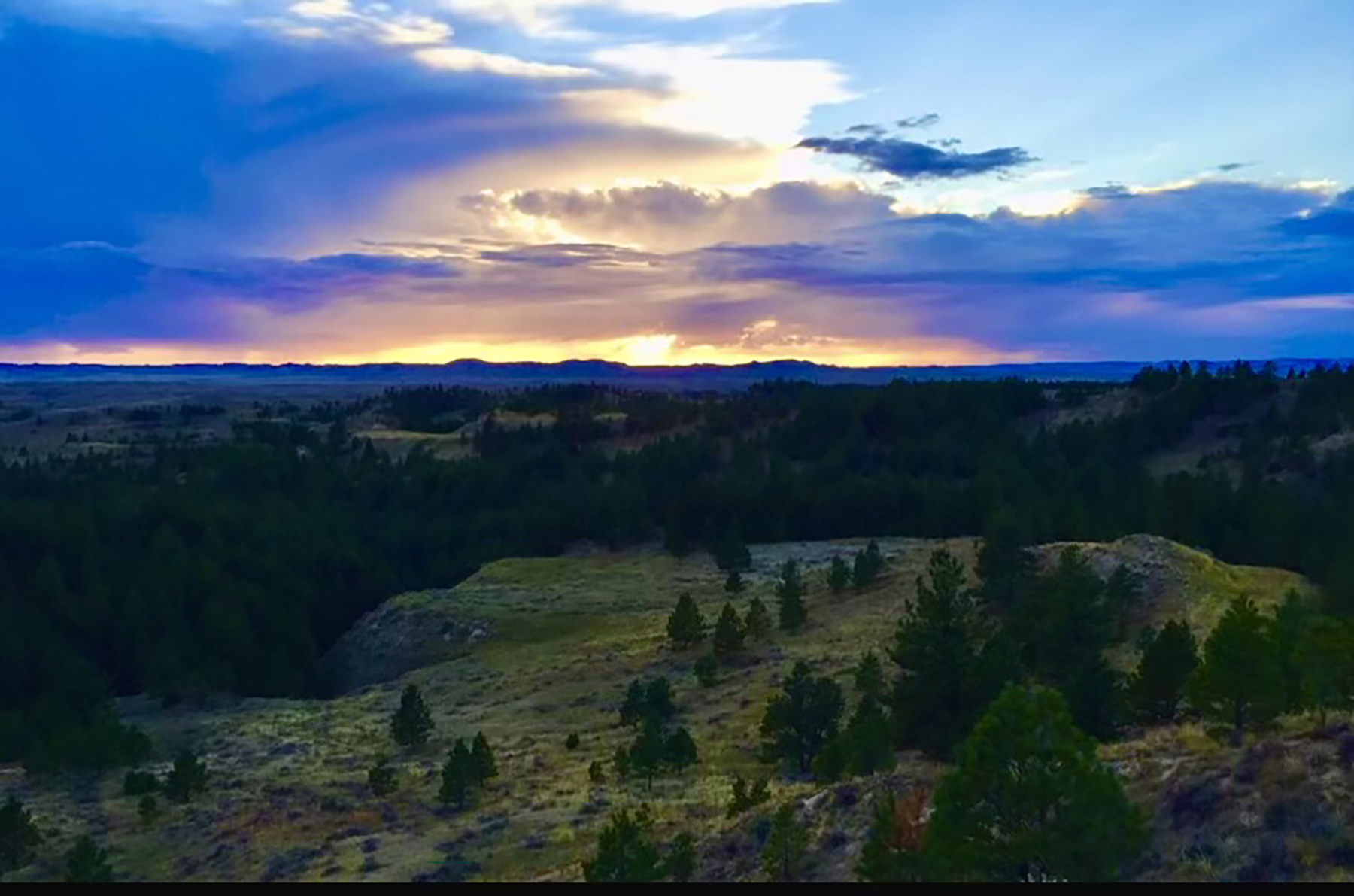 R & R Land Company property picture 3 of 69