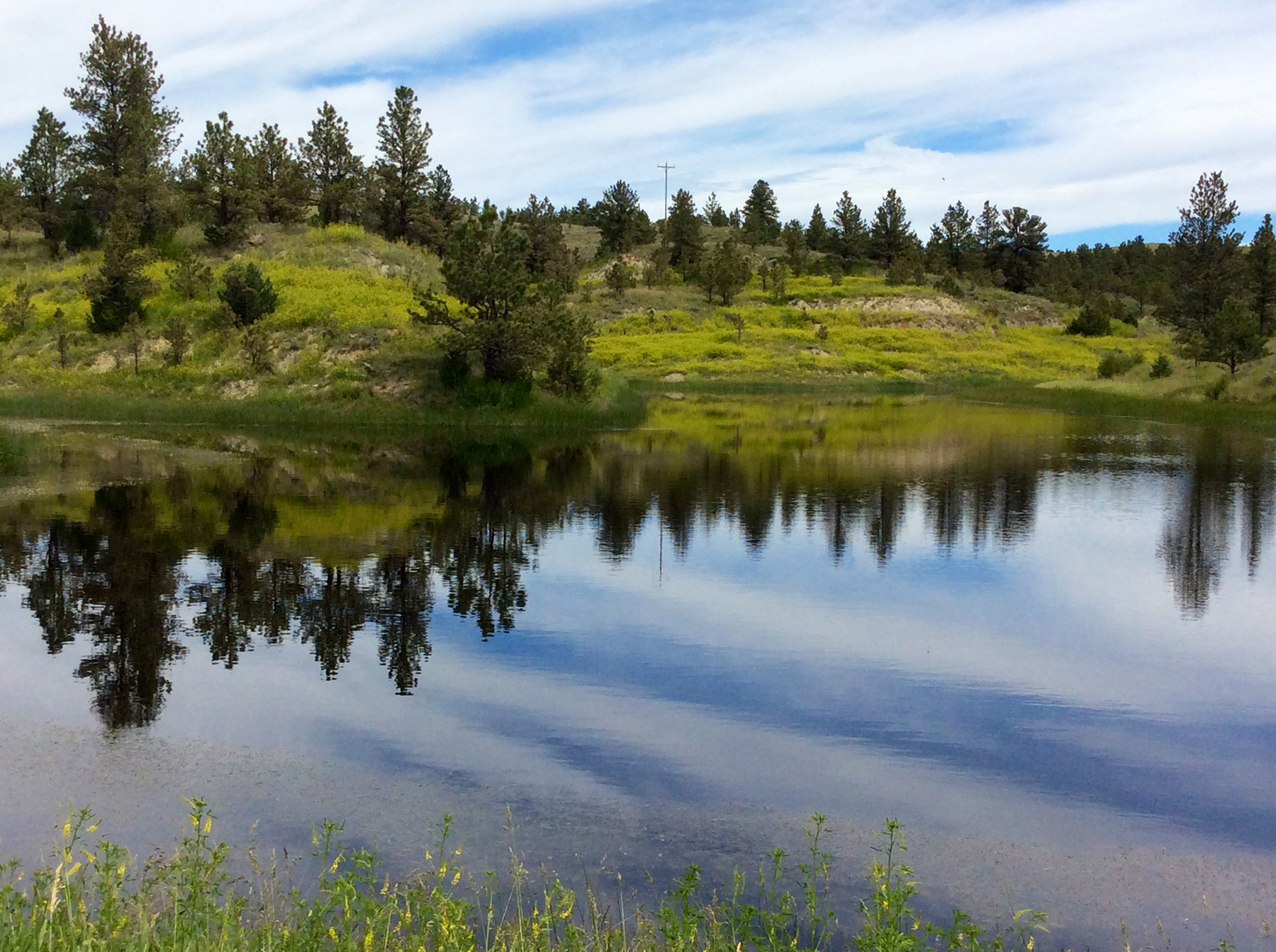 R & R Land Company property picture 2 of 69