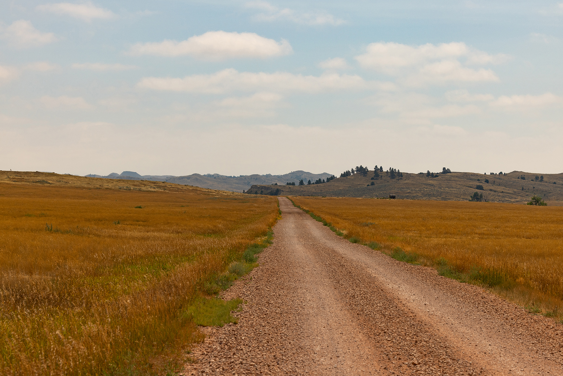 R & R Land Company property picture 11 of 69