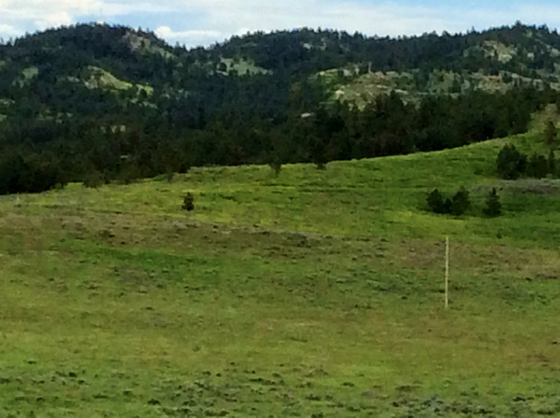 R & R Land Company property picture 57 of 69