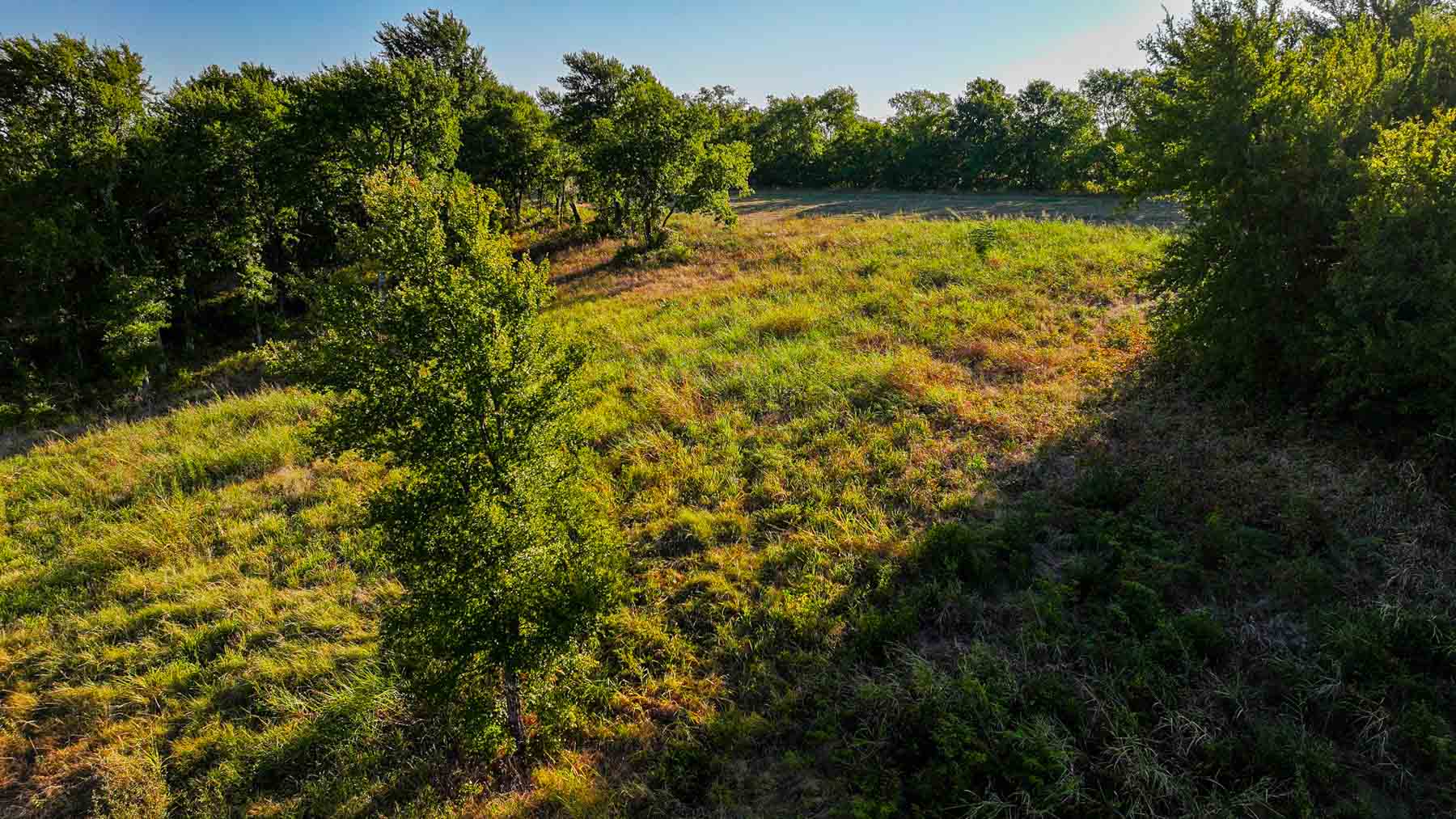 Ranch on Choctaw Creek property picture 65 of 79