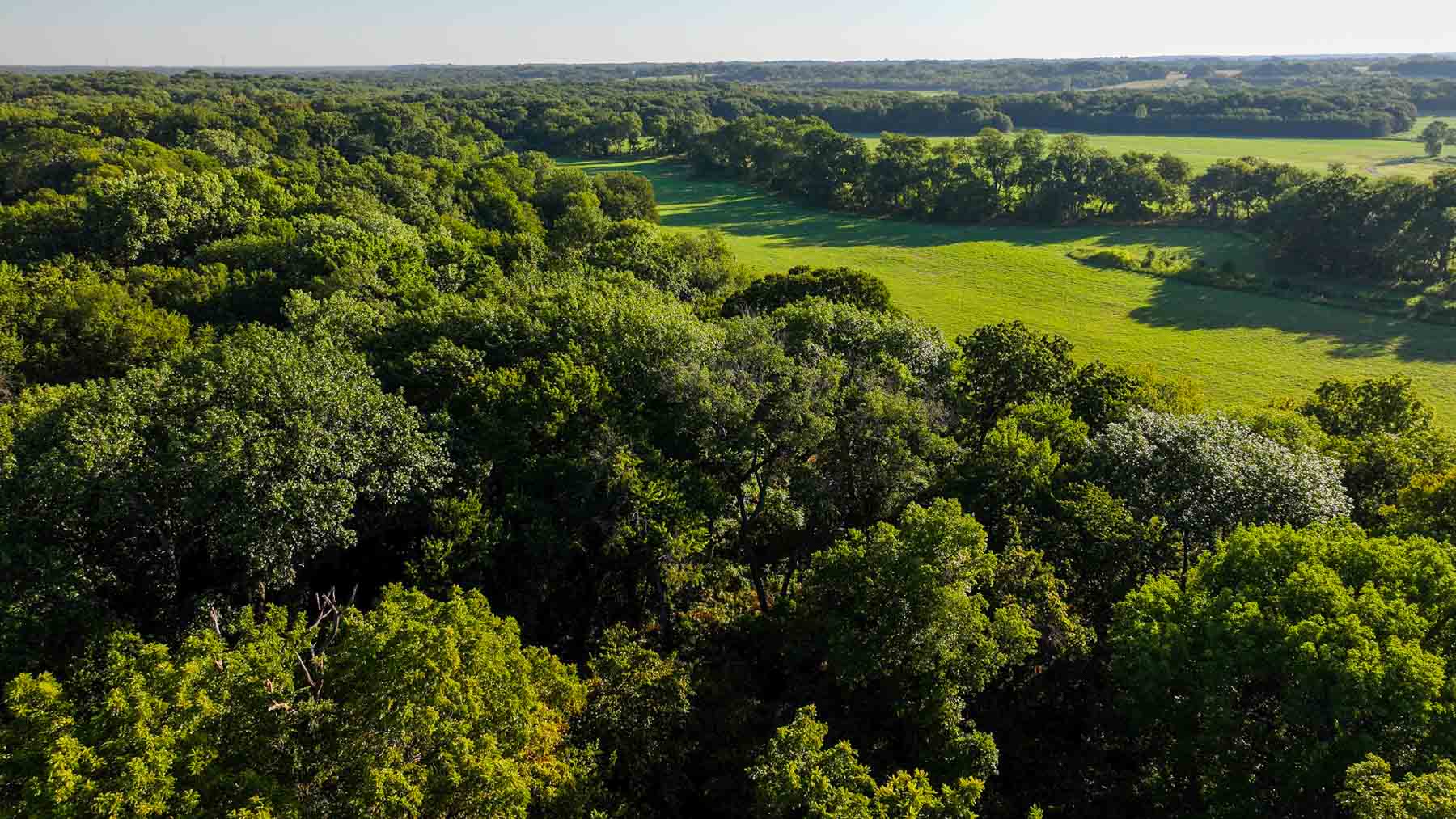 Ranch on Choctaw Creek property picture 52 of 79