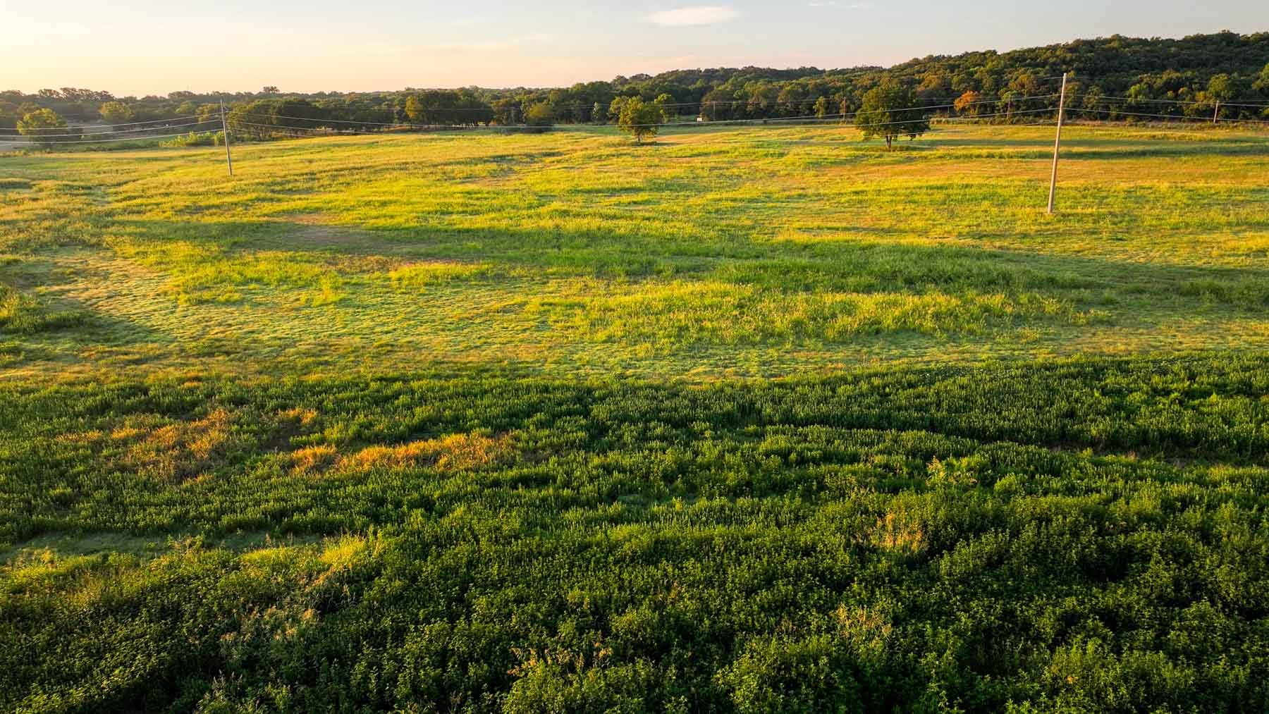 Ranch on Choctaw Creek property picture 11 of 79