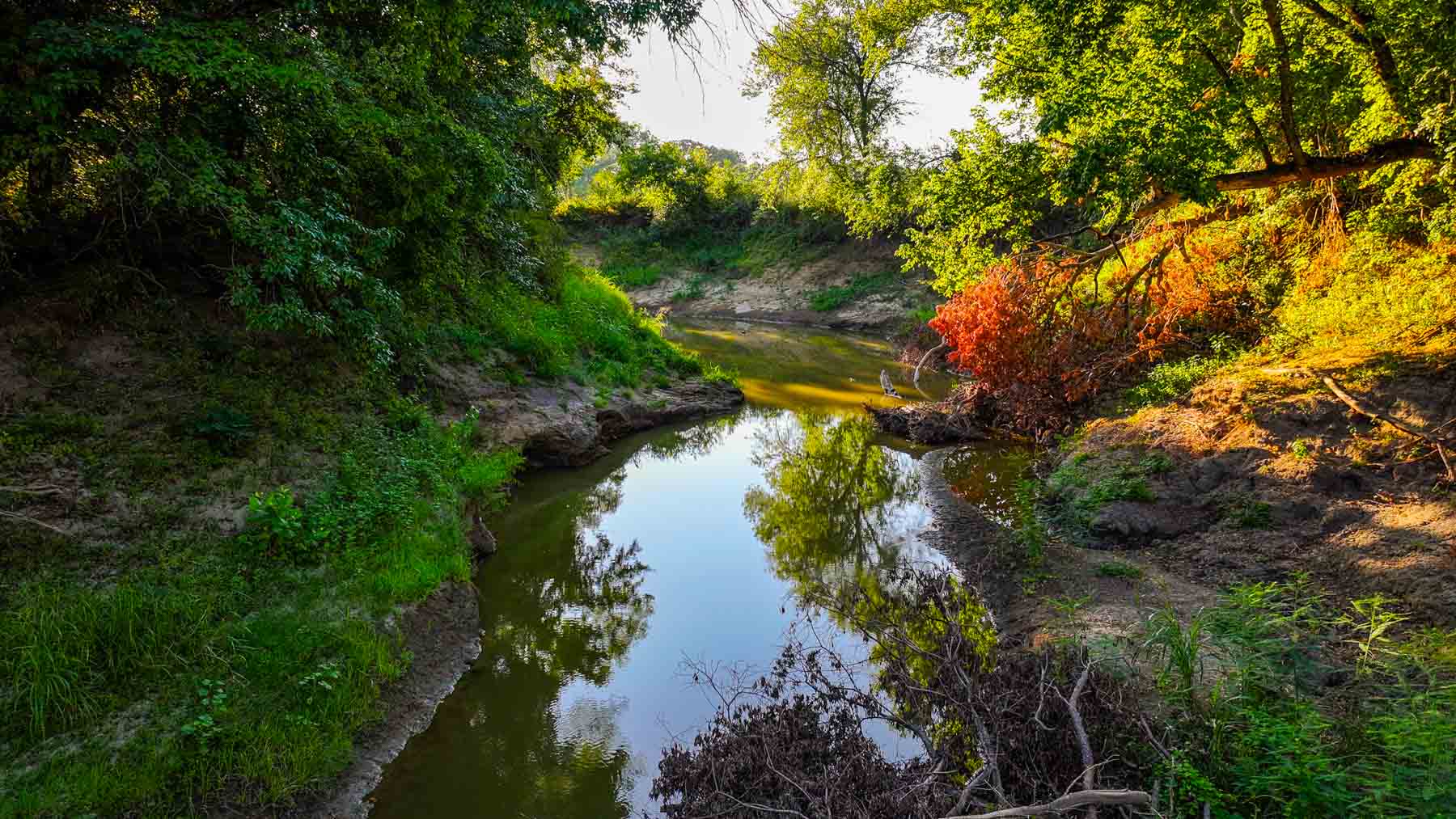 Ranch on Choctaw Creek property picture 51 of 79
