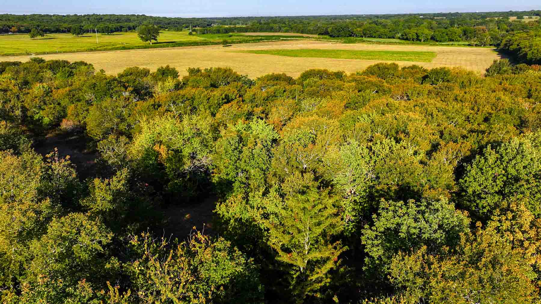 Ranch on Choctaw Creek property picture 68 of 79
