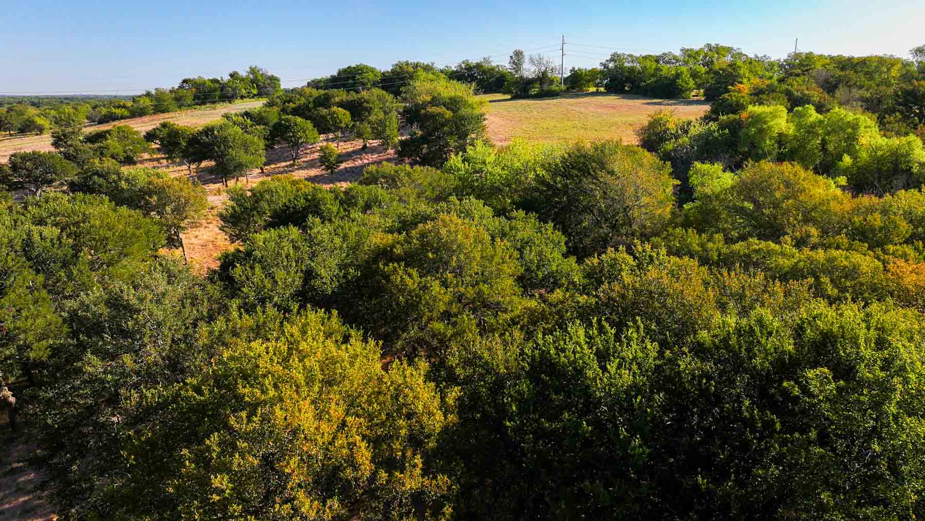 Ranch on Choctaw Creek property picture 41 of 79