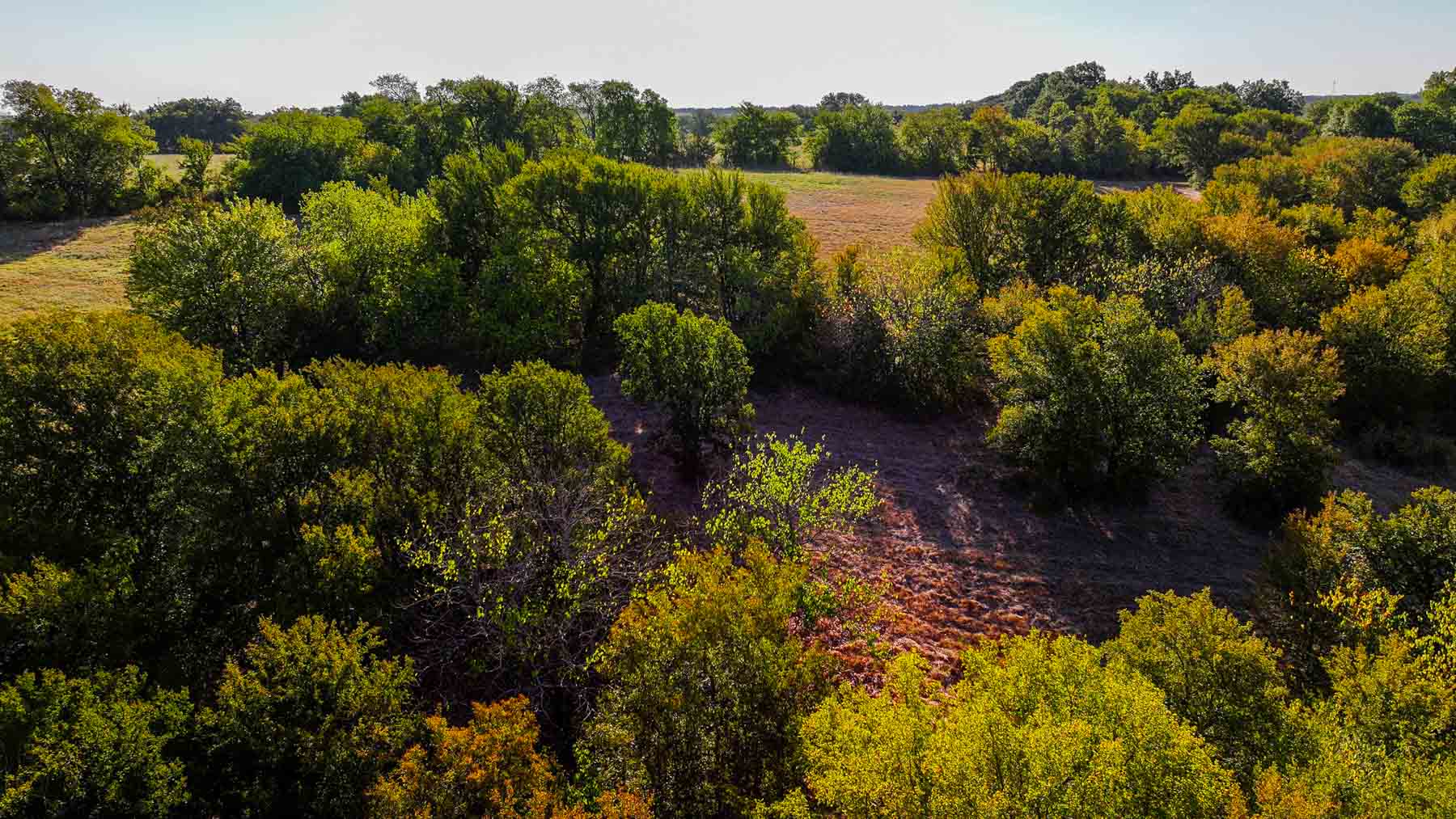 Ranch on Choctaw Creek property picture 77 of 79
