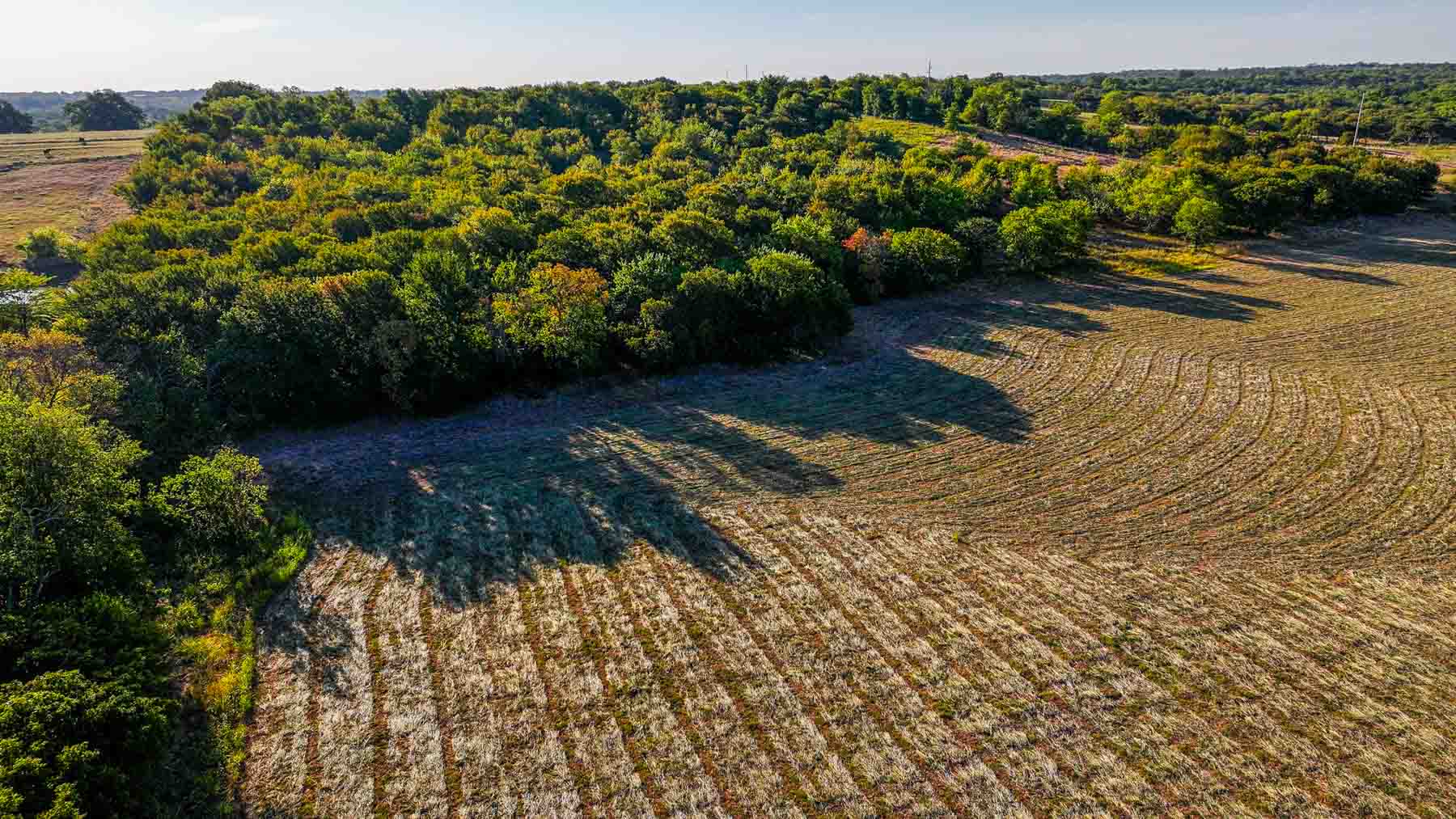 Ranch on Choctaw Creek property picture 57 of 79