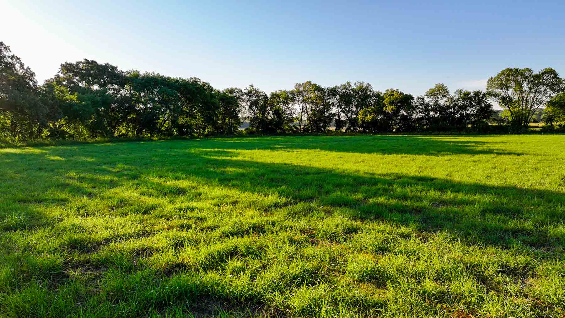 Ranch on Choctaw Creek property picture 29 of 79