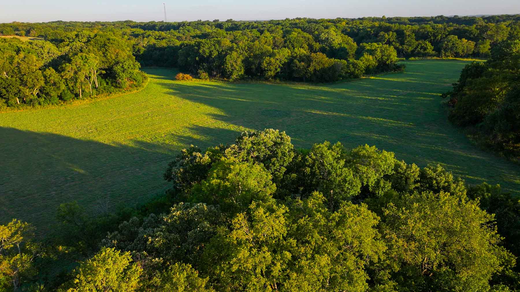 Ranch on Choctaw Creek property picture 27 of 79