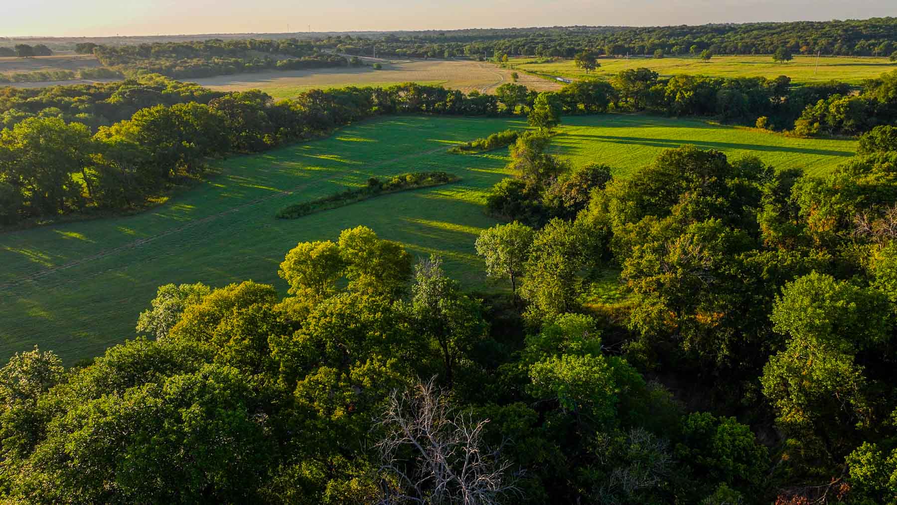 Ranch on Choctaw Creek property picture 21 of 79