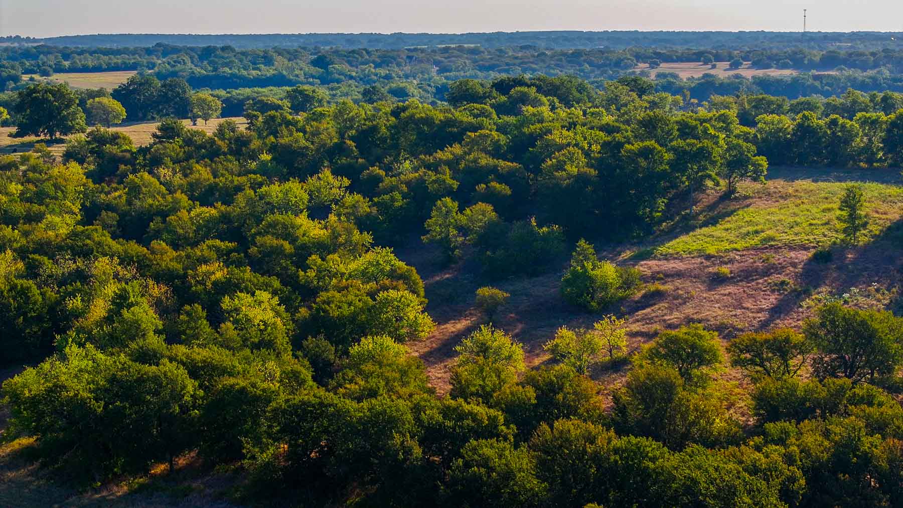 Ranch on Choctaw Creek property picture 70 of 79