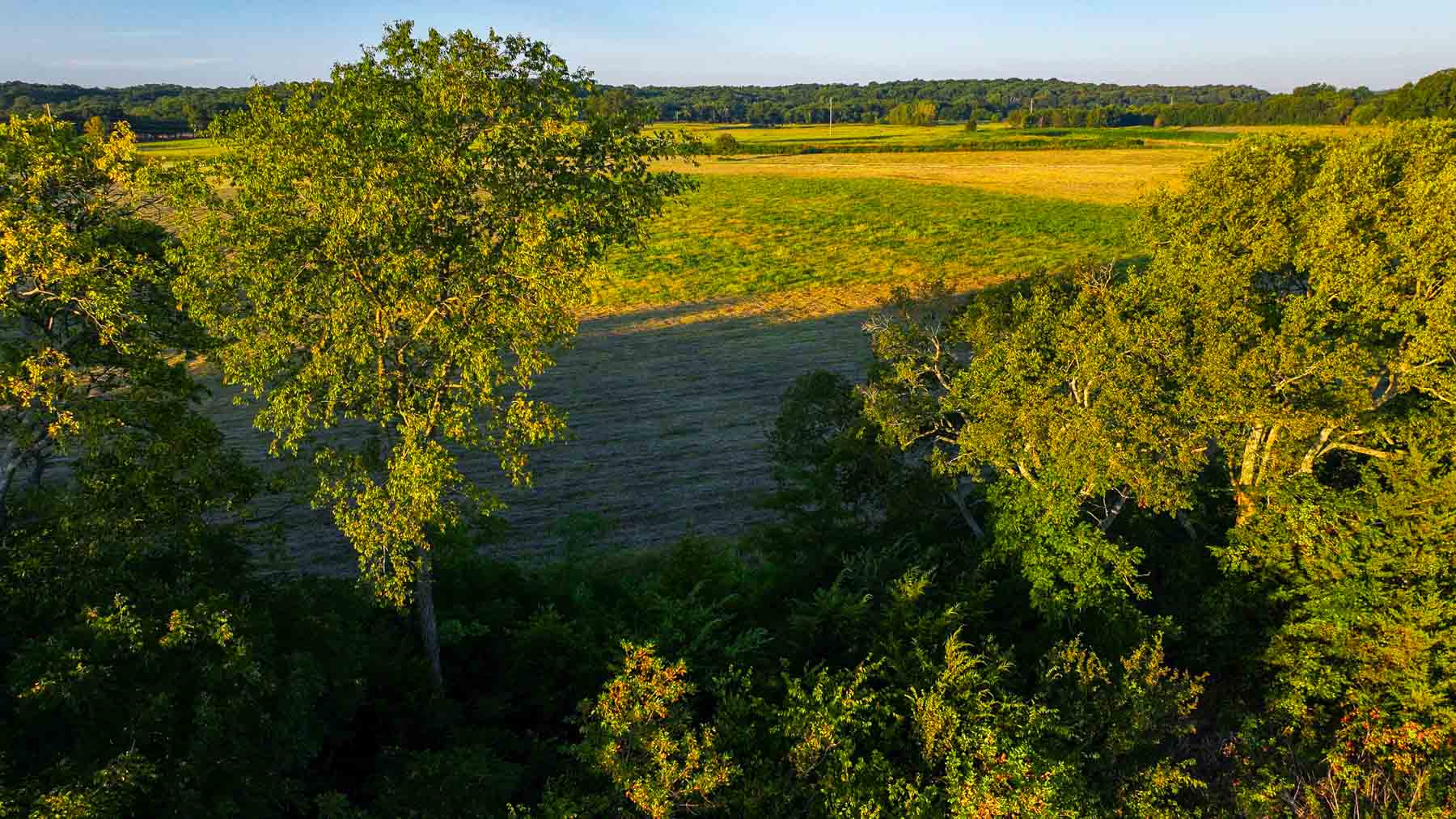 Ranch on Choctaw Creek property picture 43 of 79