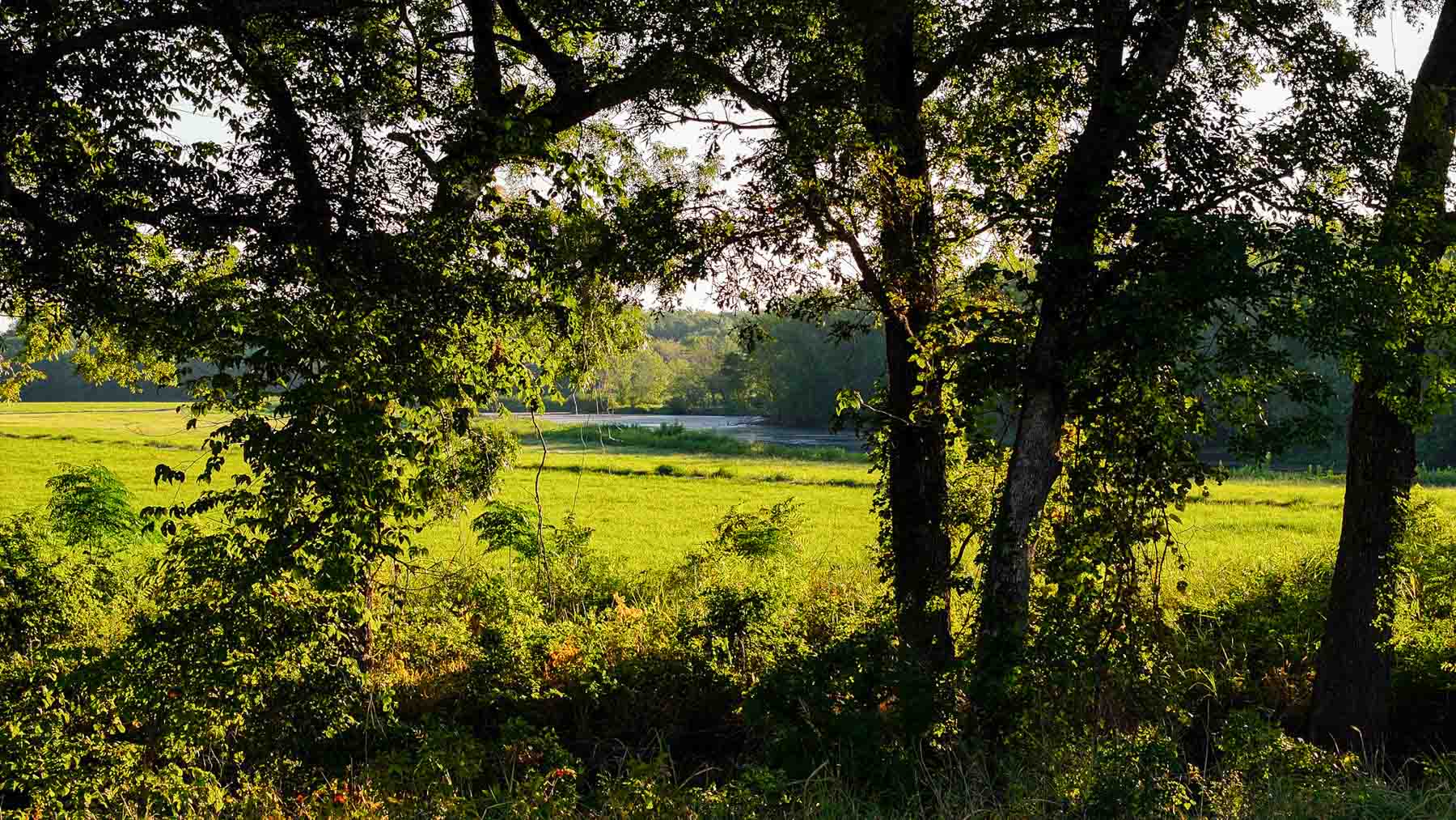 Ranch on Choctaw Creek property picture 46 of 79