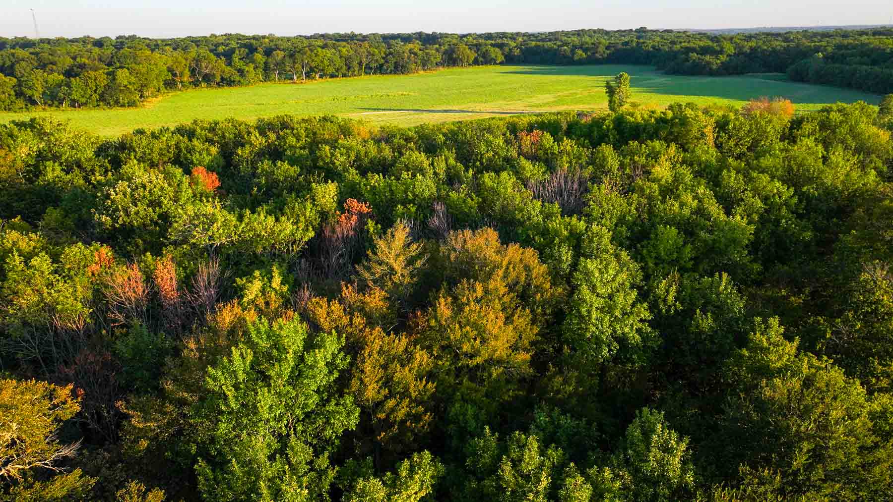 Ranch on Choctaw Creek property picture 19 of 79