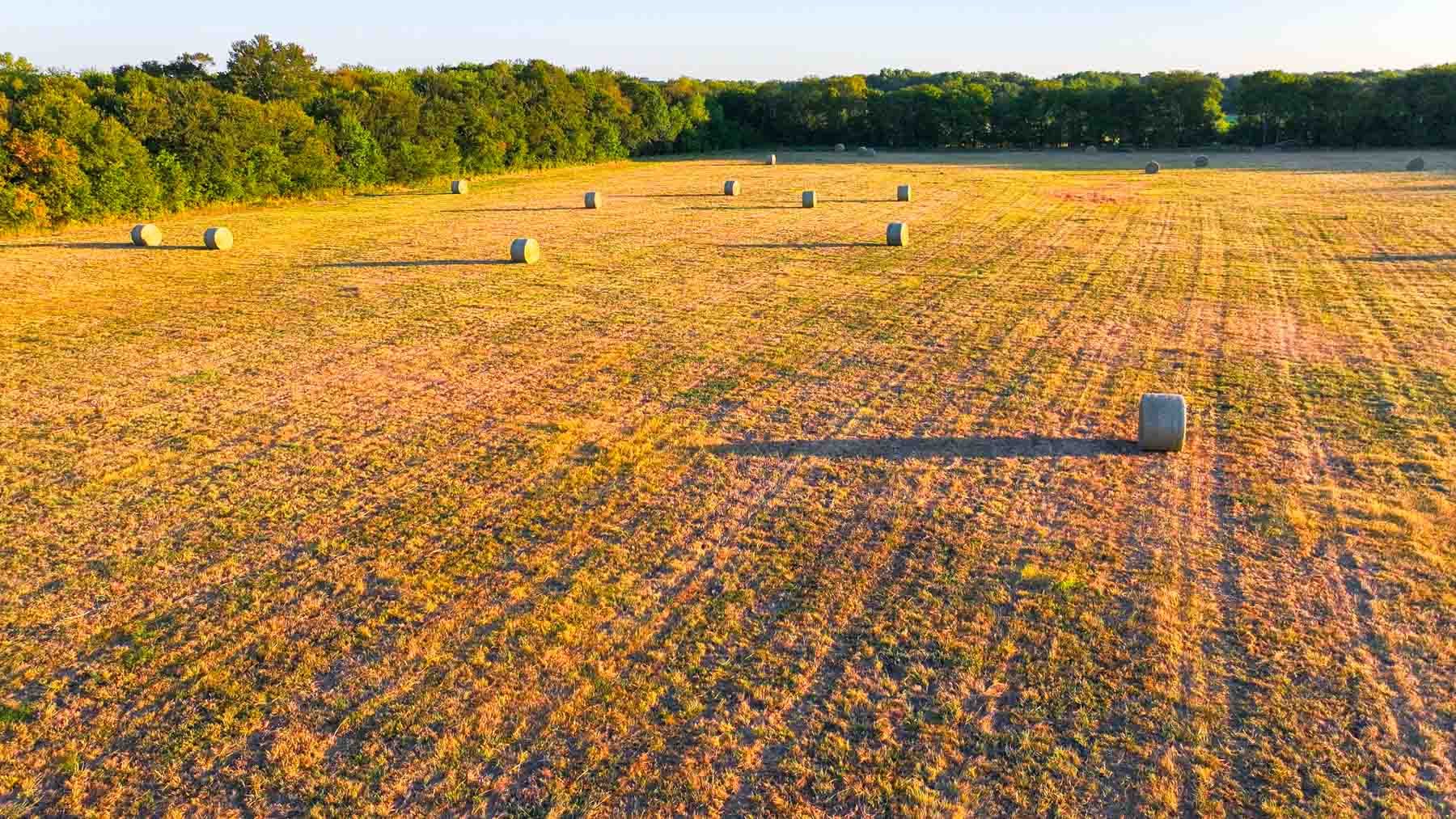 Ranch on Choctaw Creek property picture 26 of 79