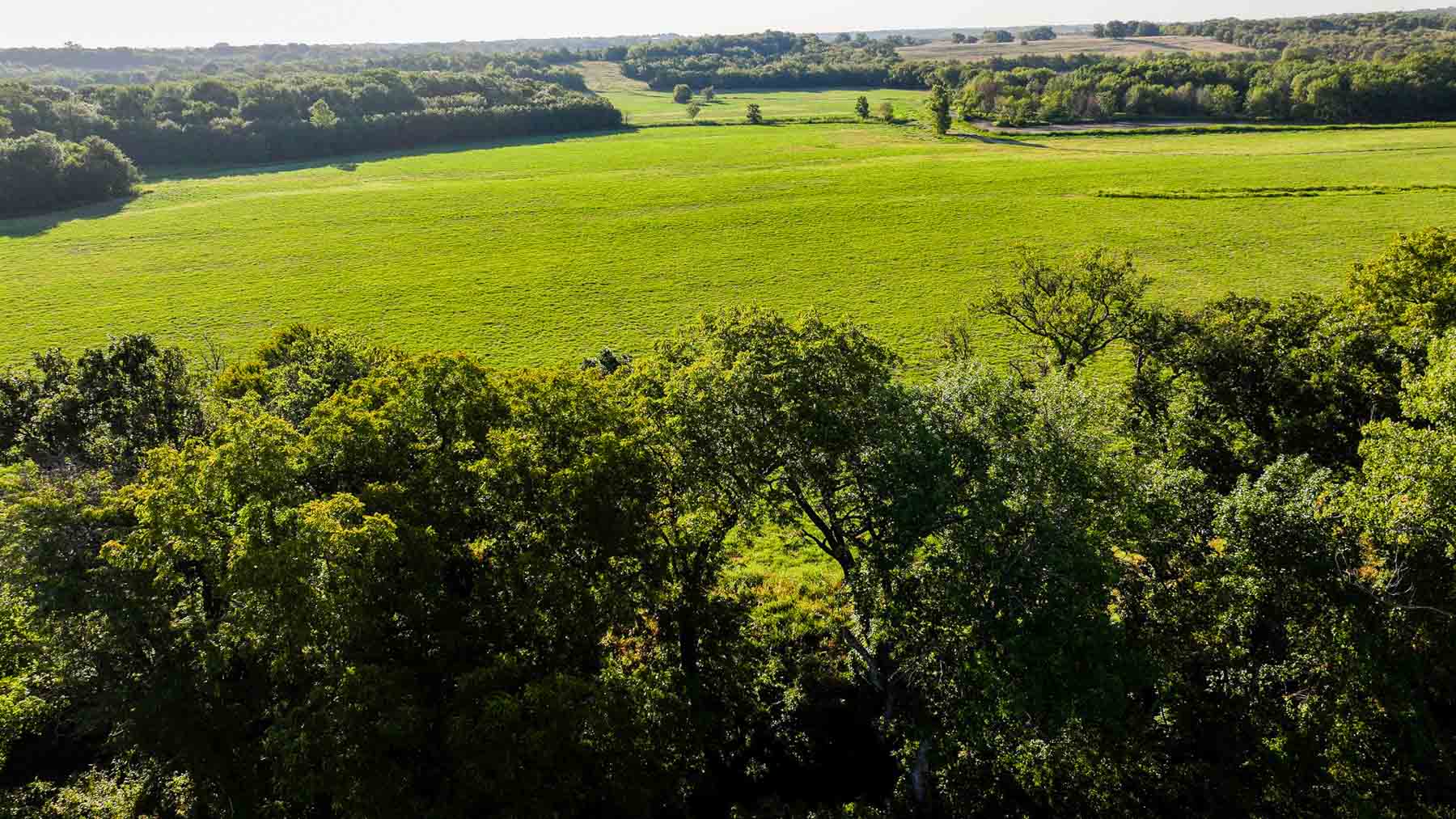 Ranch on Choctaw Creek property picture 69 of 79