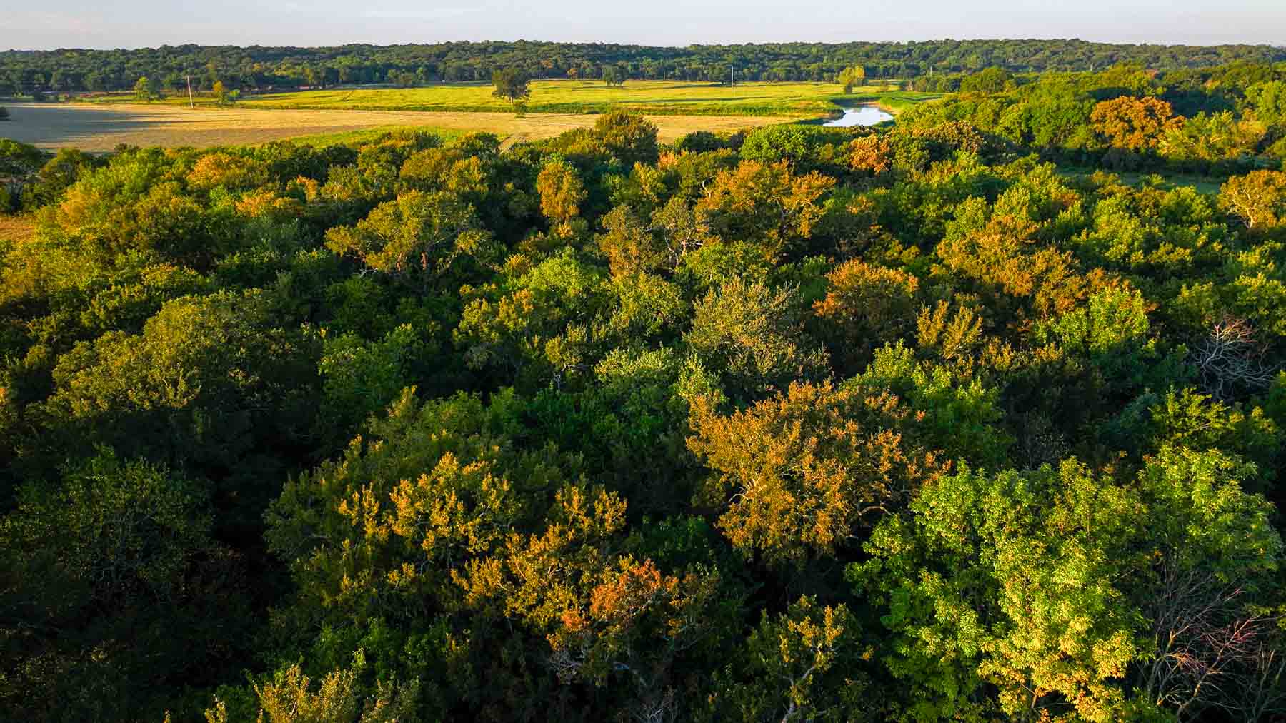 Ranch on Choctaw Creek property picture 15 of 79