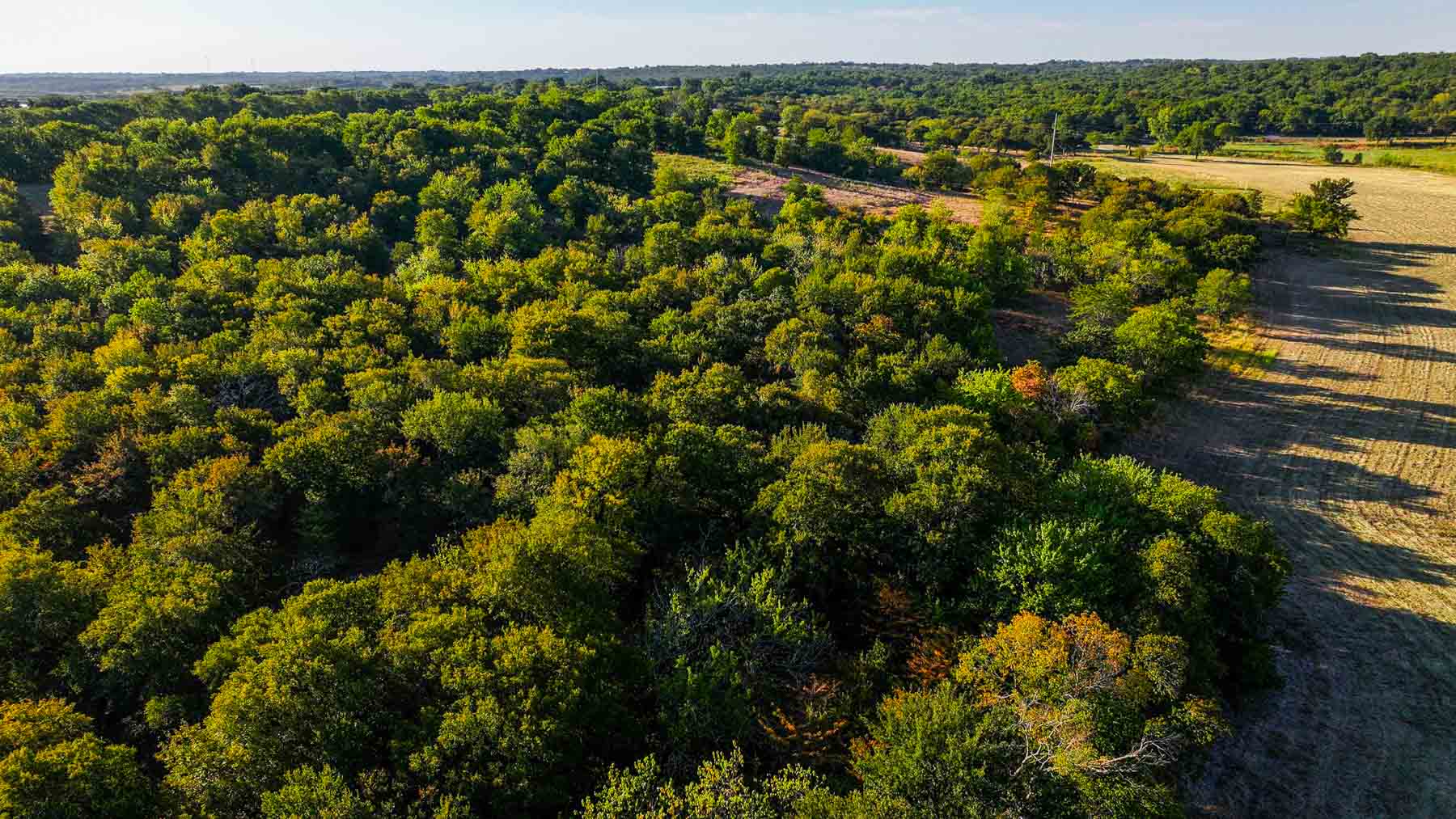 Ranch on Choctaw Creek property picture 63 of 79