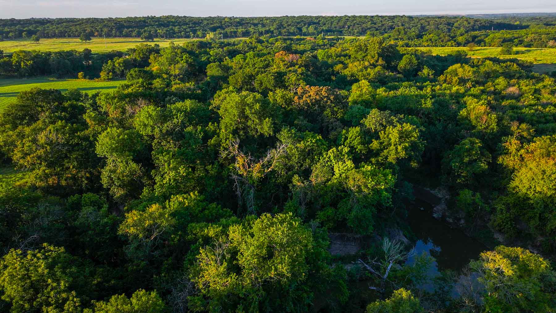 Ranch on Choctaw Creek property picture 60 of 79