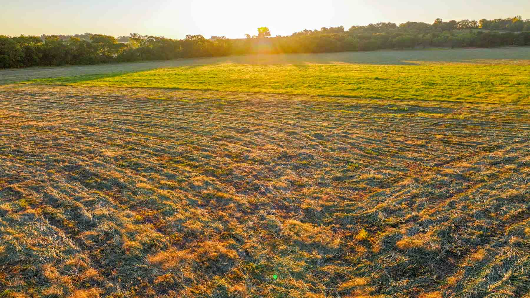 Ranch on Choctaw Creek property picture 14 of 79