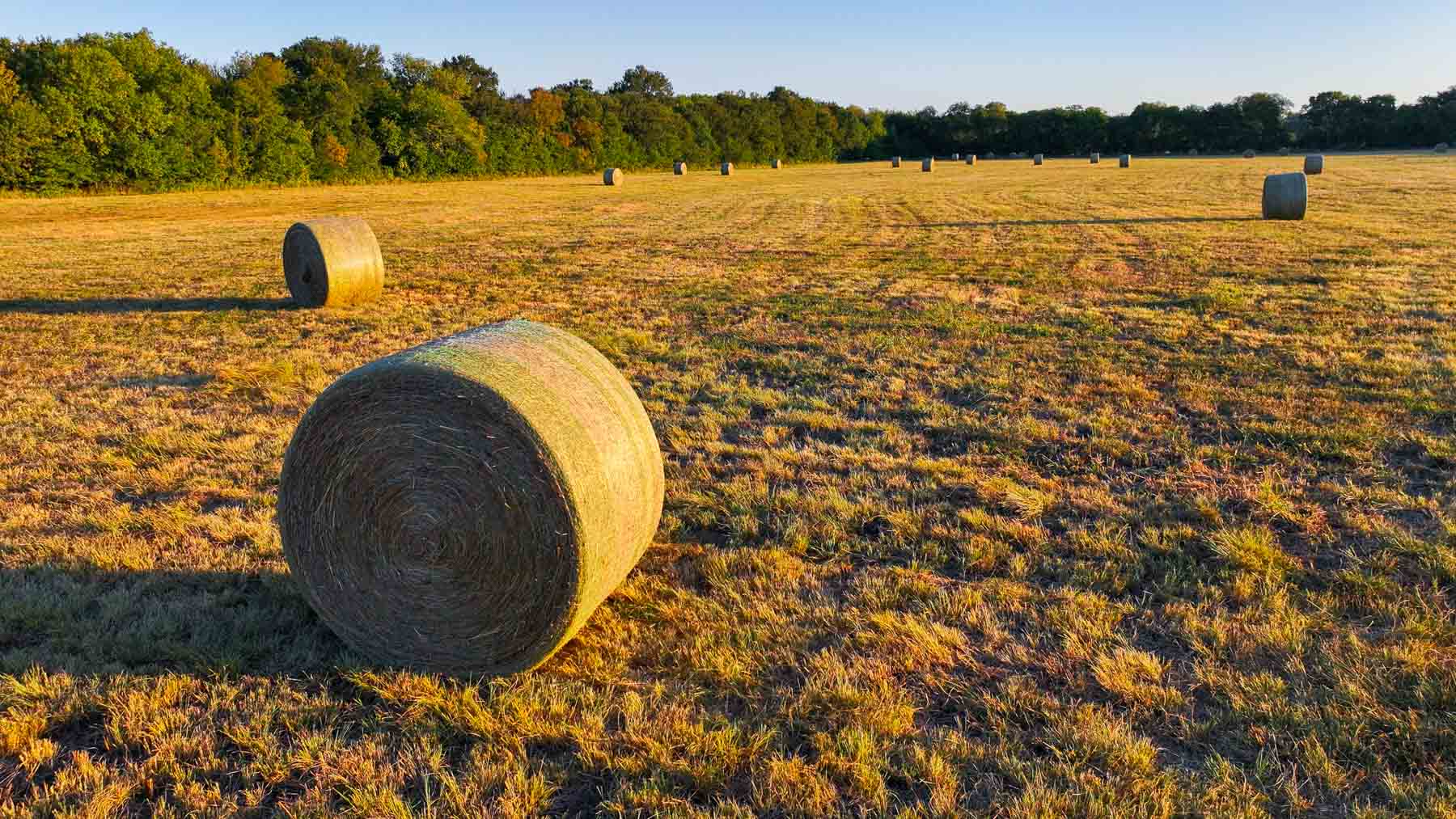 Ranch on Choctaw Creek property picture 16 of 79