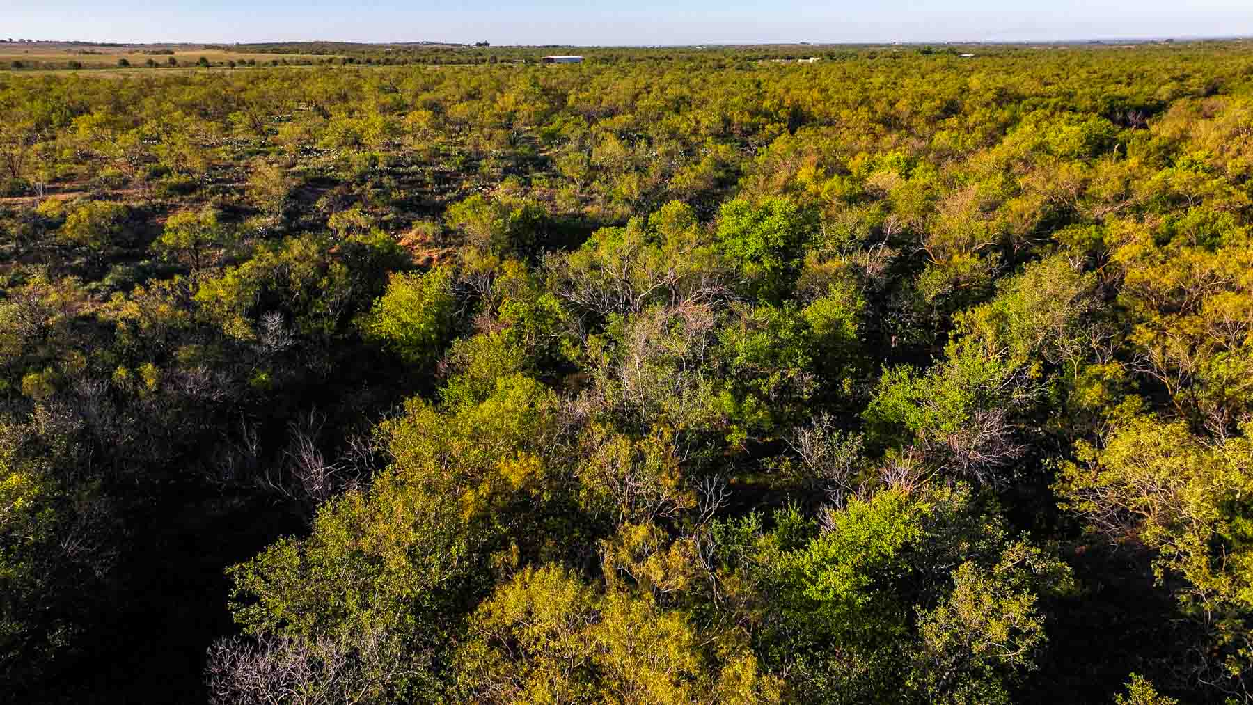 BBF-Champion Creek Ranch property picture 11 of 39