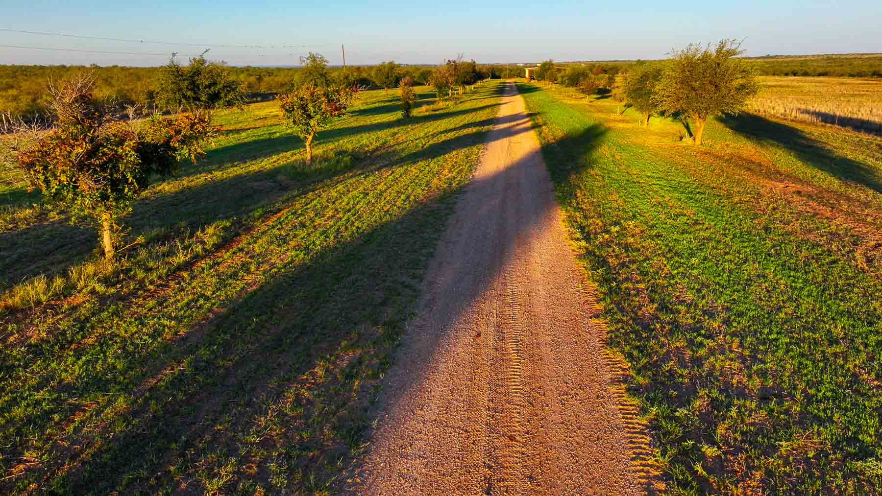 BBF-Champion Creek Ranch property picture 16 of 39