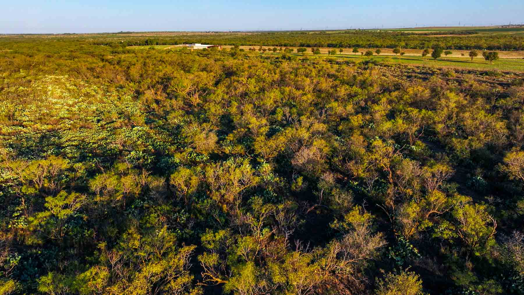 BBF-Champion Creek Ranch property picture 17 of 39