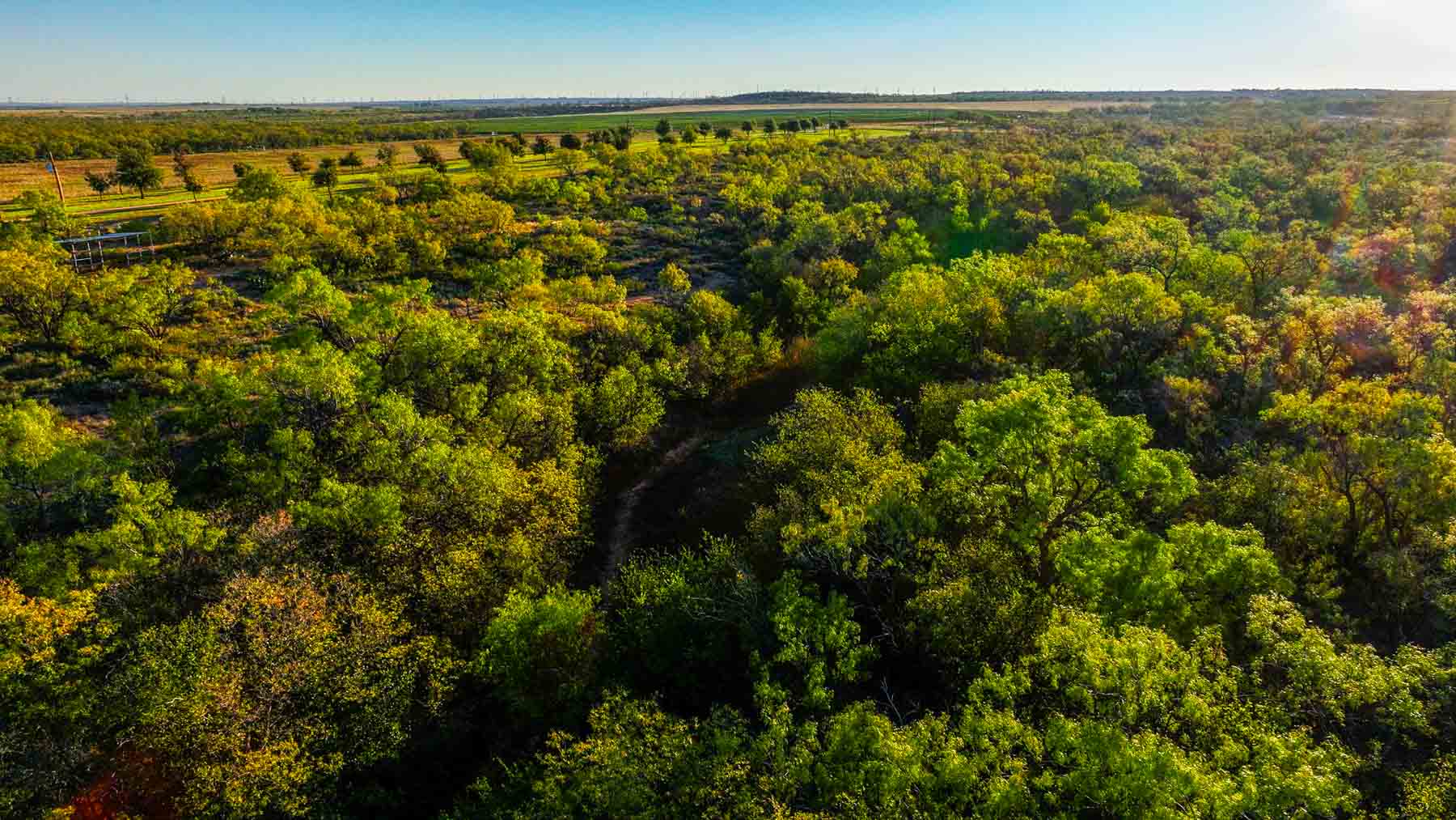BBF-Champion Creek Ranch property picture 18 of 39