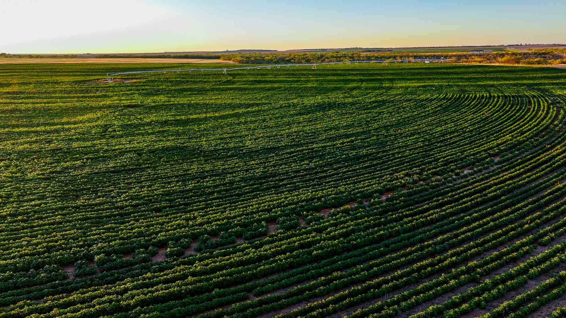 BBF-Champion Creek Ranch property picture 13 of 39