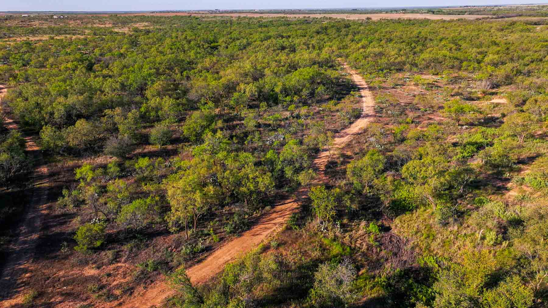 BBF-Champion Creek Ranch property picture 39 of 39