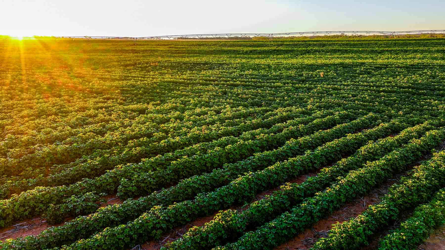 BBF-Champion Creek Ranch property picture 29 of 39