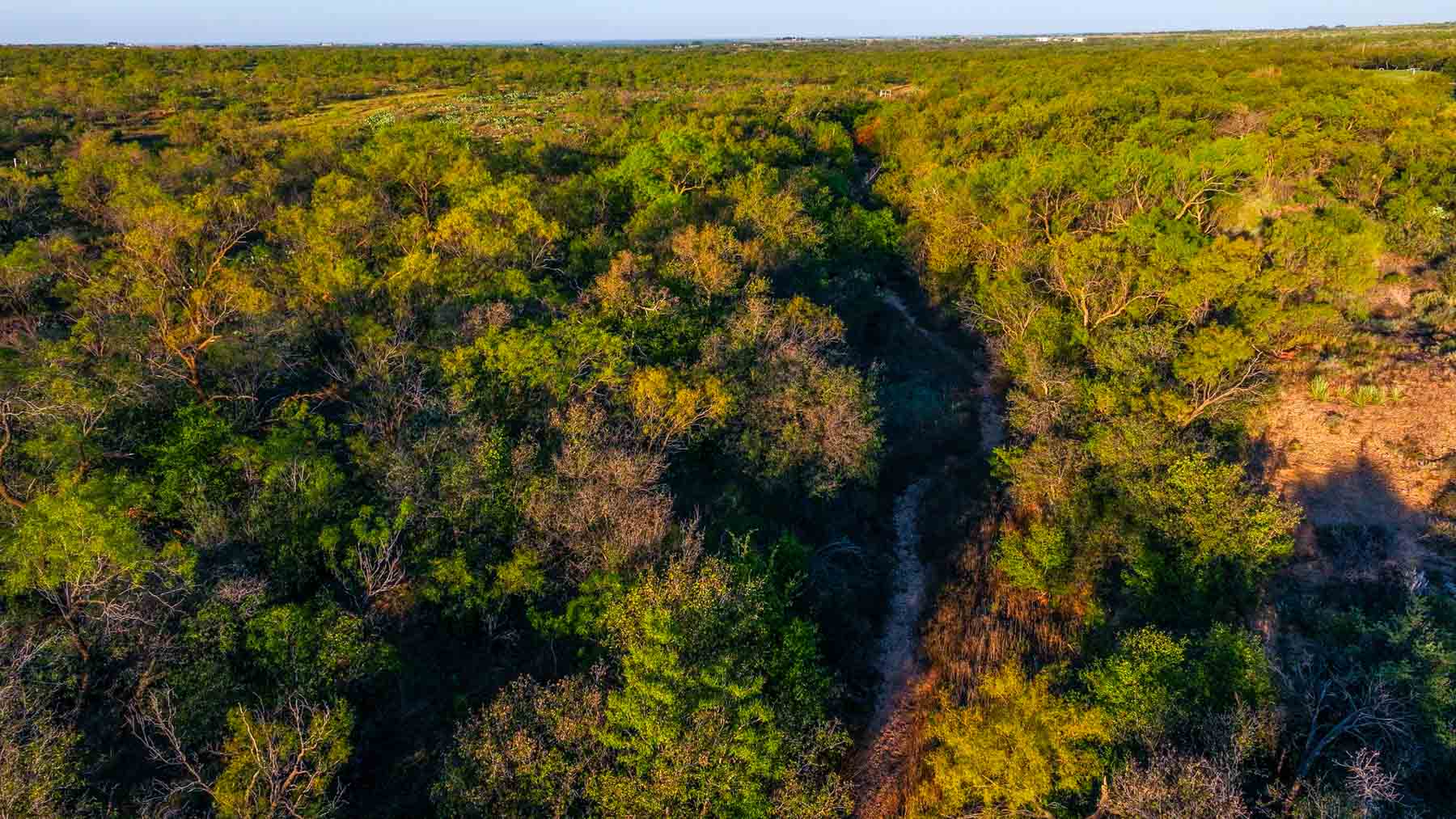 BBF-Champion Creek Ranch property picture 32 of 39