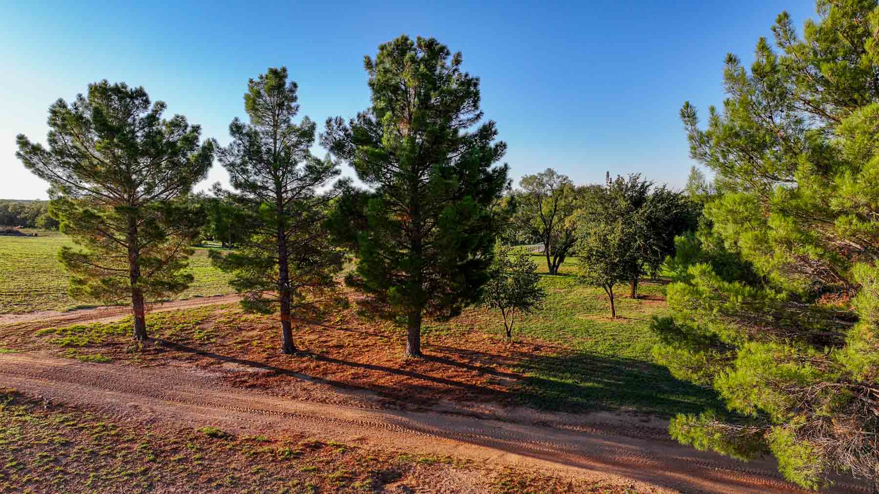 BBF-Champion Creek Ranch property picture 9 of 39