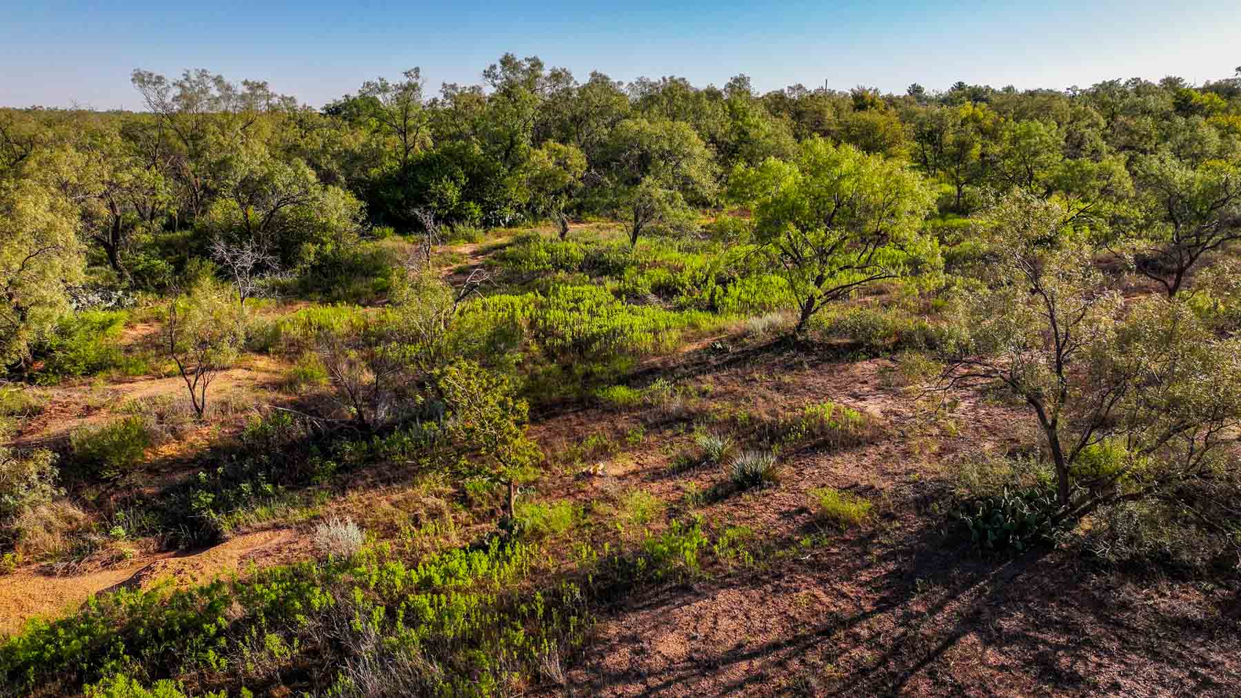 BBF-Champion Creek Ranch property picture 38 of 39