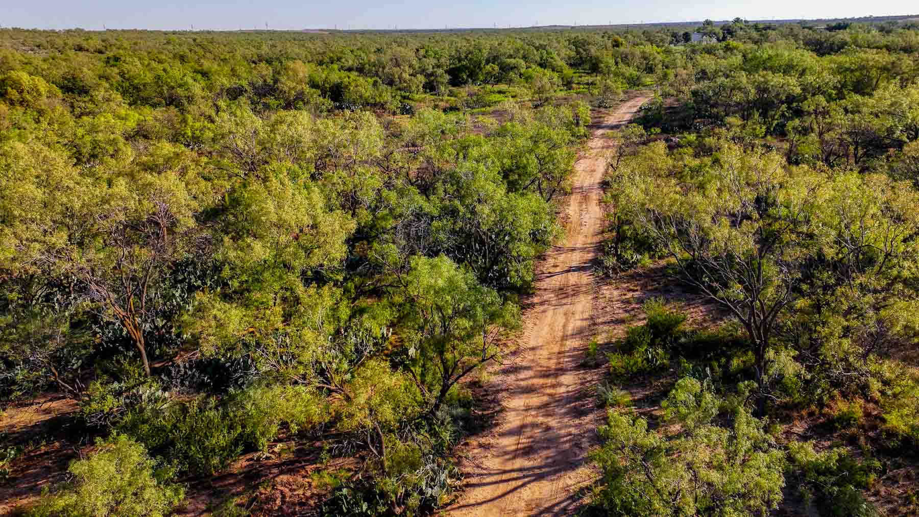 BBF-Champion Creek Ranch property picture 28 of 39